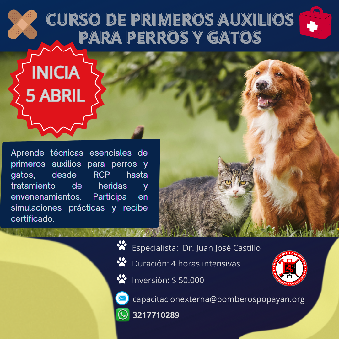 CURSO_DE_PRIMEROS_AUXILIOS_PARA_PERROS_Y_GATOS_3.png